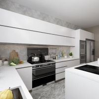 奥田集成灶：坚持技术创新，做新时代的“新国货”