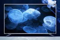 索尼、夏普超级品牌日来袭 国美美店热销4K电视推荐