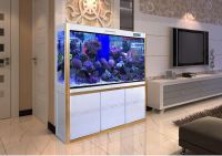 鱼缸可以放在客厅什么位置  鱼缸加热棒怎么选择