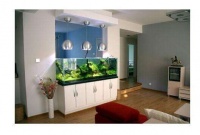 鱼缸可以放在客厅什么位置  鱼缸加热棒怎么选择