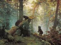 空间设计|穿越希施金的静谧之森