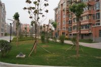 二楼入住有哪些感受 二楼有哪些优点