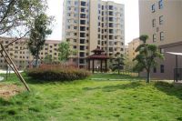 卖房子较快的平台 卖房子必须要注意什么