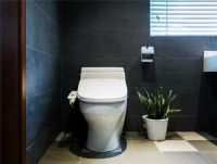 怎样安装马桶盖教程 简单明了值得你收藏