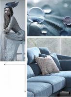 帝标6月新品 | 枫丹白露，还原生活最该有的样子