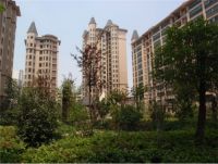 开封最有升值的小区是哪个 怎样选择满意的楼盘