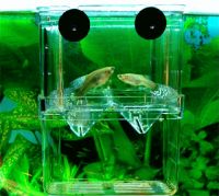 自制简易鱼缸隔离板 安装鱼缸方式