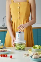 高效料理为烹饪助力，东菱无线绞肉机轻松做中西美食