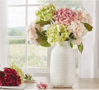 Harbor House“无限”花期，省心解锁花花世界