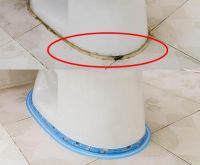 坐便器底部漏水怎么修 坐便器底部污垢怎么清洁