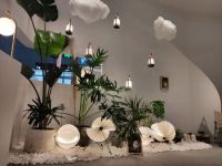 新特丽后装照明新概念首发，创新生活美学