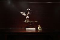 万事红红木产品如何？为您分析墨西哥微凹黄檀