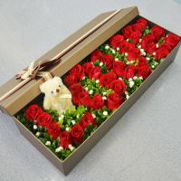 36朵玫瑰代表什么意思 玫瑰花的挑选技巧