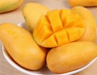 婴儿六个月吃什么辅食 6个月宝宝不能吃什么