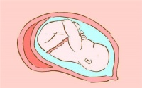 胎儿打嗝什么感觉 胎儿打嗝是什么引起的