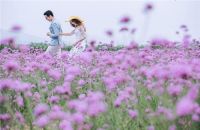 深圳婚纱摄影排名 以下婚纱摄影楼有你喜欢的吗