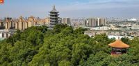占据全国七成高端市场！中山这个产业如何高质量发展？