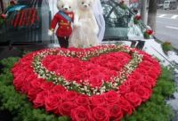 婚车为什么不能10辆 为什么婚车不能空