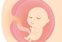 胎儿小头畸形诊断标准 如何判断小头症