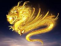 88年和96年婚姻相配吗 1988年属龙的命运怎么样