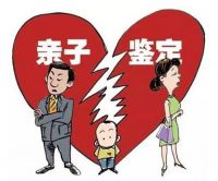 亲子鉴定有法律效应吗 没出生的孩子能做亲子鉴定吗