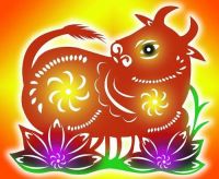 属牛和属虎谁压谁 为什么属牛和属虎合适