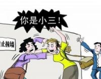如何告第三者破坏家庭 小三所造成的损失能否请求赔偿