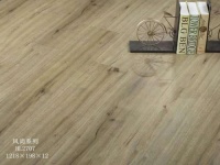 红利风尚系列|百变花色，引领别样生活潮流！
