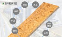伟业牌五极OSB板，2021年板材行业黑马