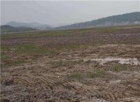 村干部不解决土地纠纷怎么办