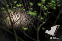 HD林丽妮 | 以设计为驱动 聚焦品牌差异化优势打造