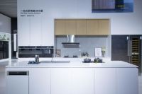 新智趣 潮家居｜惠而浦×欧派 AWE专访实录