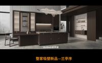 皮阿诺2023轻高定全案新品，打造独特的家居艺术