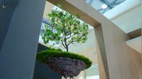 2023上海厨卫展 | 菲派臻彩致献，“出色”演绎个性家居新生活