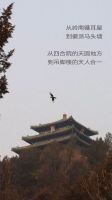 世界的中国家｜2025年携手MAG-G极，构建全球华人家文化共同体！