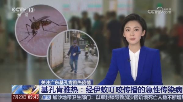 2026年蚊扰频发如何防护？纱窗选购避坑攻略 实力品牌盘点